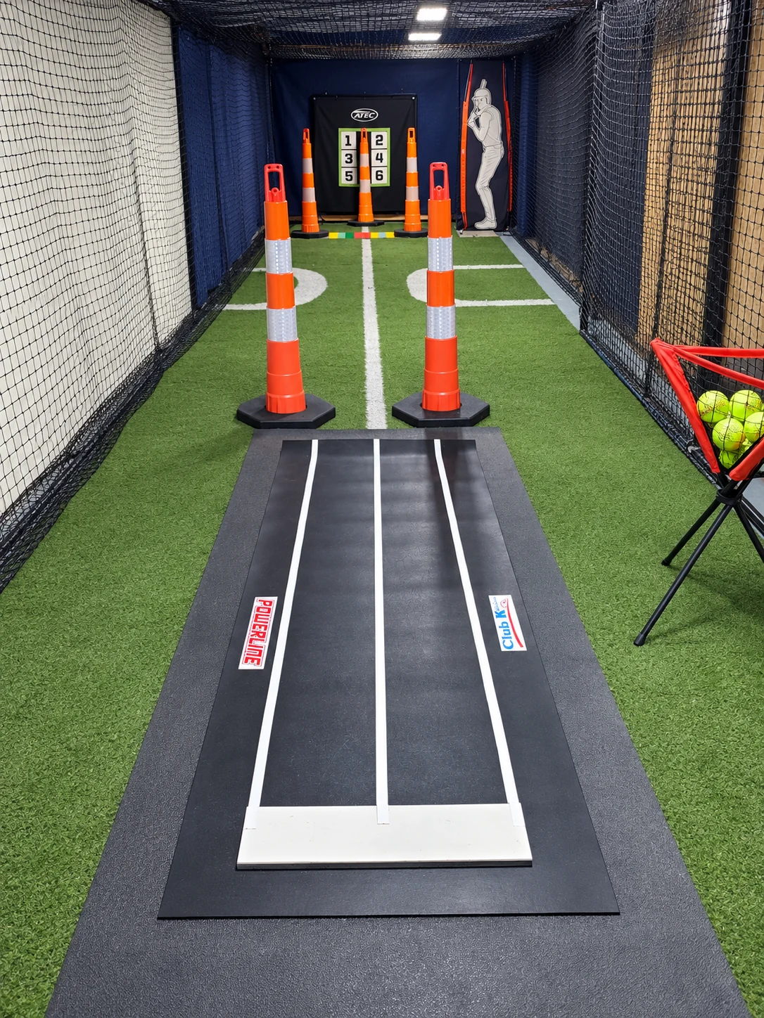 Pitching lane and target training